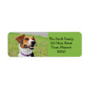 Search for beagle labels Canine