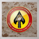 Search for special operations command Marsoc emblem 3d