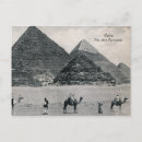 Search for cairo postcards Camel