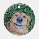 Search for cat picture christmas tree decorations Paw