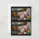Search for sell cards Cat