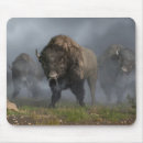 Search for a bison electronics Western