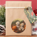 Search for poodle mom stickers Animal