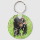 Search for chimp key rings Primate
