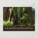 Search for redwood national park postcards Nature