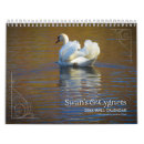 Search for swan calendars Birds