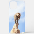 Search for baboon cases Monkey
