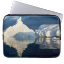 Search for greenlander cases Disko bay
