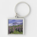 Search for lupine key rings Landscape