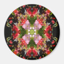 Search for begonia magnets Pink
