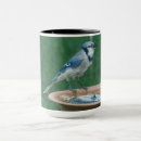 Search for blue jay coffee mugs Nature photography