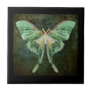 Search for moth tiles Luna