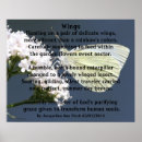 Search for wing posters Butterfly