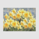 Search for daffodil tissue paper Floral