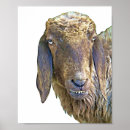 Search for animal faces posters Nature