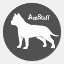Search for american staffordshire terrier stickers Amstaff