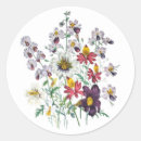 Search for flower illustration stickers Botany