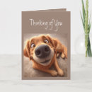 Search for noses cards Animal