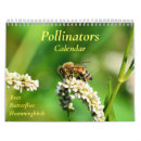 Search for pollinating Butterflies
