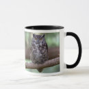 Search for great horn owl mugs Owls