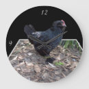 Search for black chicken art Rooster
