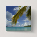 Search for bay badges Wave