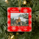 Search for believe christmas tree decorations Red