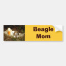 Search for beagle bumper stickers Hound