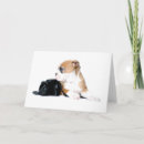 Search for british bulldog cards Cute