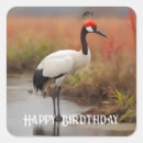 Search for generous stickers Bird