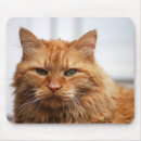Search for norwegian mousepads Cat