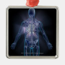Search for transparent christmas tree decorations People