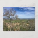 Search for paso Vineyard