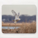 Search for long beach mousepads Animal