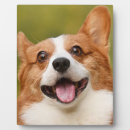 Search for dog plaques Pet