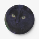 Search for black cat plates Adorable