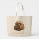 Search for breed accessories Pets