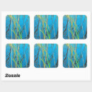 Search for reed stickers Lake