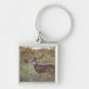 Search for white tail deer key rings Autumn