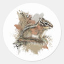 Search for cute chipmunk stickers Nature