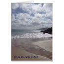 Search for dingle ireland Irish