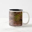 Search for glacier mugs Scenic