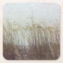 Search for dunes coasters Coastal