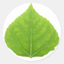 Search for aspen leaf stickers Leaves