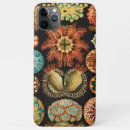 Search for marine cases Ocean life