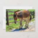 Search for mixed breed cards invites Animal