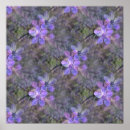 Search for spring love posters Flowers