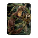 Search for europeans magnets Wildlife
