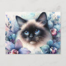 Search for blue cats postcards Flowers