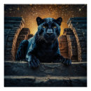 Search for black panther posters Big cats